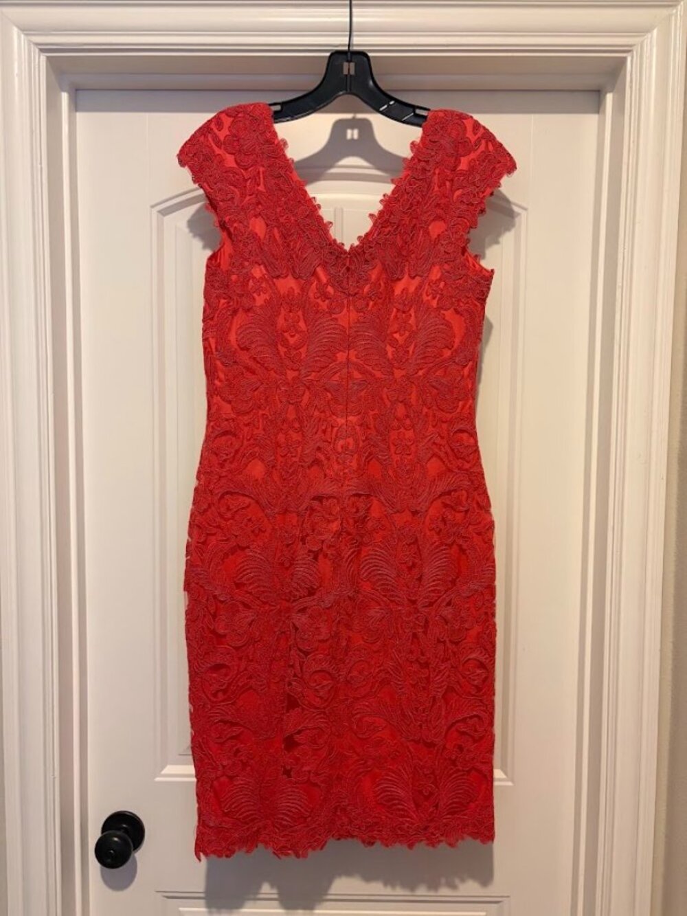 Tadashi Shoji Corded Embroidery Tulle Cap-Sleeve Dress NWT
